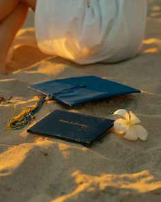 a blue book laying on top of a sandy beach next to a white plume flower