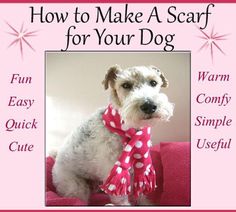 a white dog wearing a pink polka dot scarf with the words how to make a scarf for your dog