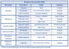 the three types of masqueros in spanish and english, with their corresponding names