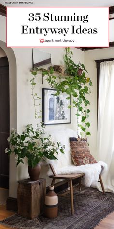 a living room with plants and pictures on the wall above it is featured in this article