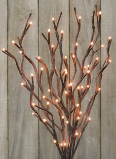 a tree with some lights on it in front of a fence and wooden planks