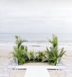 an outdoor ceremony setup with chairs and palm trees on the beach in front of the ocean