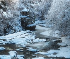 a river running through a snow covered forest next to a tall building with a clock on it