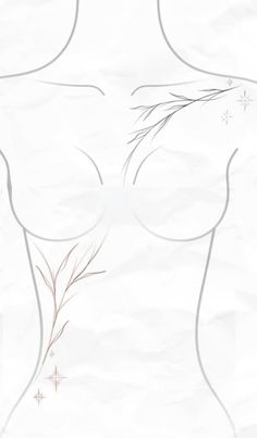 a drawing of a woman's torso with flowers on it and snowflakes in the background