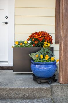 two large blue planters with flowers in them on the side of a house next to a door