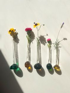 five vases with flowers in them are lined up against a white wall, one is filled with water and the other has sunflowers