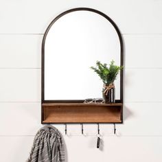 a mirror hanging on the wall next to a potted plant and coat rack with hooks