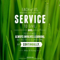 grass with the words service to give and always involves learning, not once for a limited time