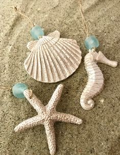 two seashells and a sea glass bead necklace laying on the sand next to each other