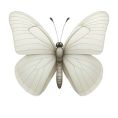 a white butterfly with black spots on its wings