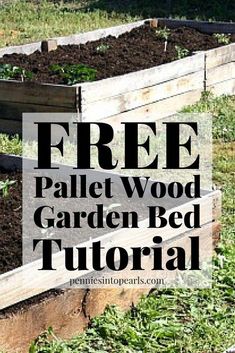 the garden bed is full of plants and dirt with text overlay that reads free pallet wood garden bed