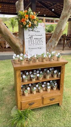 an outdoor display with potted plants and a sign for the wedding ceremony on it