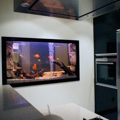 a fish tank is hanging on the wall