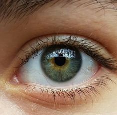 an eye with blue and yellow iris looking at the camera