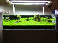 an aquarium filled with green plants and rocks in front of a wall mounted dryer