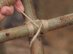 a person holding onto a piece of wood that has been tied to it with rope