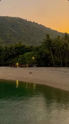 a beach with trees and mountains in the background