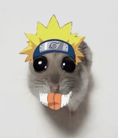 a rat wearing a hat with a basketball ball in it's mouth while looking up at the camera