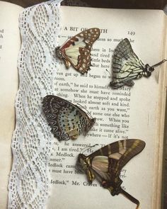 three butterflies sitting on top of an open book with lace around it's edges