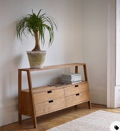 a potted plant sitting on top of a wooden shelf next to a white rug