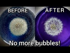 two plates with dandelions on them before and after they were turned into bubbles