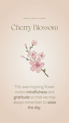 a pink flower with the words cherry blossom on it, in front of a beige background