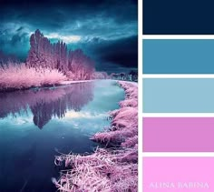 the color scheme is blue, pink and purple with an image of trees in the background