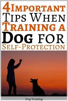 a woman and her dog with the text 4 important tips when training a dog for self - protection