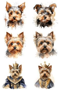 four different dogs with crowns on their heads