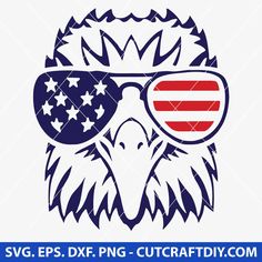 an eagle wearing sunglasses with the american flag on it