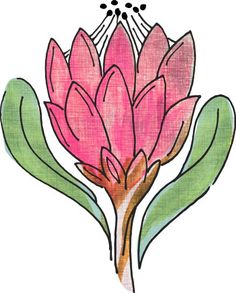 a pink flower with green leaves on it