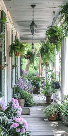 a porch with lots of potted plants and hanging lights on the side of it