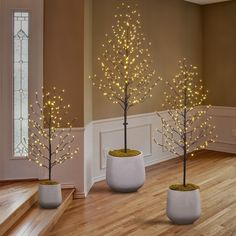 three white planters with lighted trees in them on the floor next to some stairs