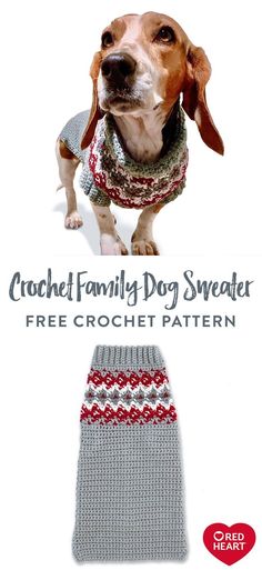 a dog wearing a sweater and scarf with the text crochet family dog sweater free crochet pattern