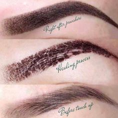 Find out what to expect physically, mentally and emotionally throughout the powder brows healing process. We brake it down for you - day by day. Permanent Makeup Healing Process, Healed Ombre Powder Brows, Stages Of Microblading Healing, Ombre Powder Brows Healing Process, Ombre Brows Healing Process, Ombré Powder Brows