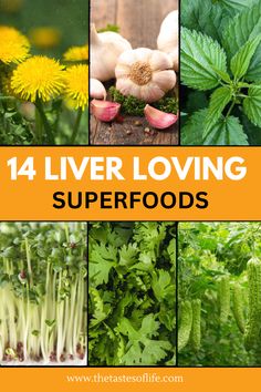 Discover 14 liver-loving superfoods that support detoxification and optimal liver health. Perfect for women’s health, especially during menopause or perimenopause, these foods help cleanse the liver and improve liver function naturally. Start your journey to a healthier liver today! Heal Your Liver Naturally, Liver Supportive Foods, Foods That Are Good For Your Liver, Foods That Heal The Liver, Liver Repair Diet, Foods That Support The Liver, Liver Healing Foods, Heal My Liver, Herbs For Liver Health