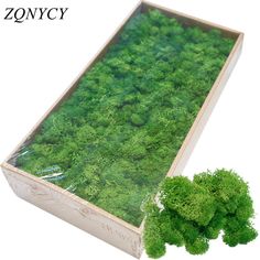 a box filled with lots of green plants next to a pile of dirt and grass