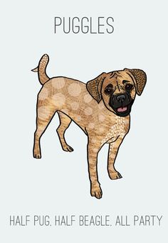 a drawing of a brown dog with spots on it's face