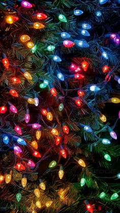 christmas lights are hanging from the branches of a pine tree in front of a black background