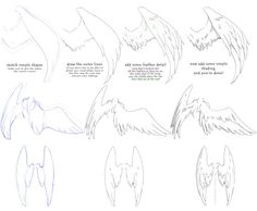 how to draw angel wings with different angles and shapes for each wing, from the top view