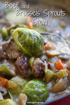 beef and brussel sprouts stew in a red bowl