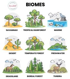 the different types of biomes