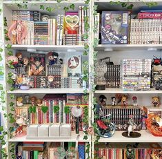 a book shelf filled with lots of books and anime figurines on top of it