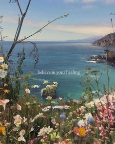 the ocean is full of colorful flowers and there is a quote on it that says, believe