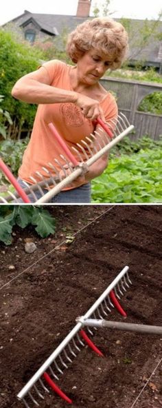 two pictures side by side one shows a woman in an orange shirt and the other shows a garden plot