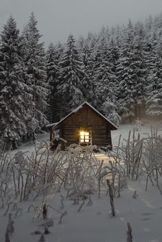 a cabin in the middle of a snowy forest at night with light coming from it's window