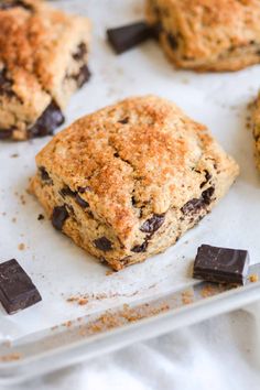 chocolate chip scones on a baking sheet