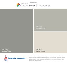 the colorsnap visualizer is shown in gray and white, with different shades