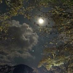 the full moon shines brightly in the night sky over trees and mountains as seen from below