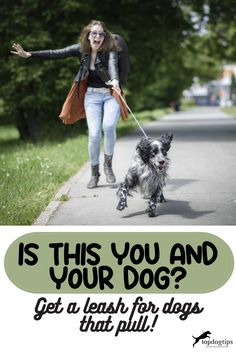 Is This You and Your Dog? Get a Leash for Dogs that Pull! Strong Dogs, Leash For Dogs, Night Walks